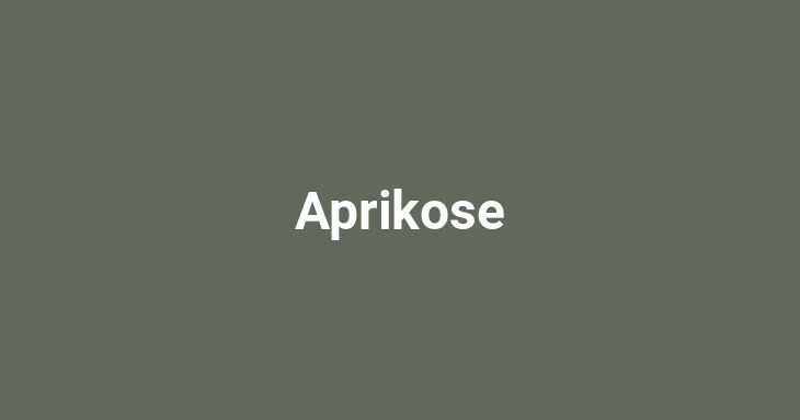 Aprikose