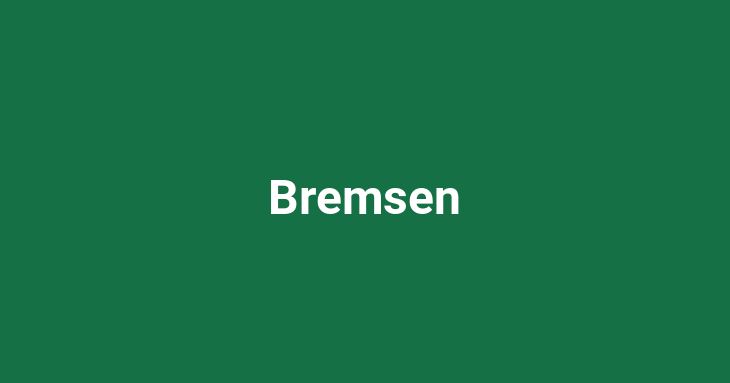 Bremsen