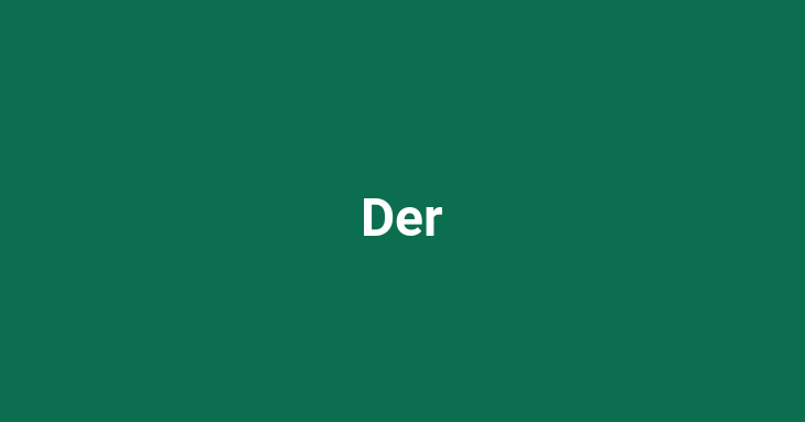 Der Hund ([noun])