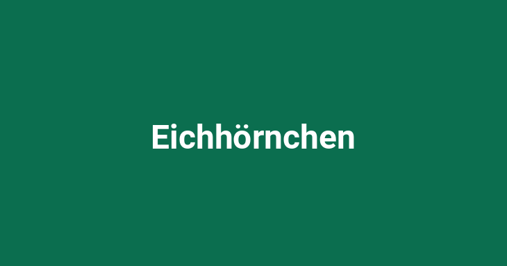 Eichhörnchen