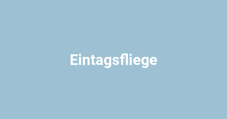 Eintagsfliege