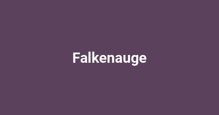 Falkenauge