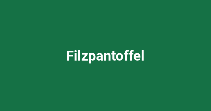 Filzpantoffel