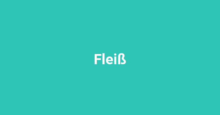 Fleiß (noun)