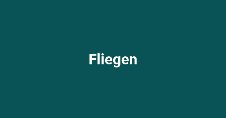 Fliegen