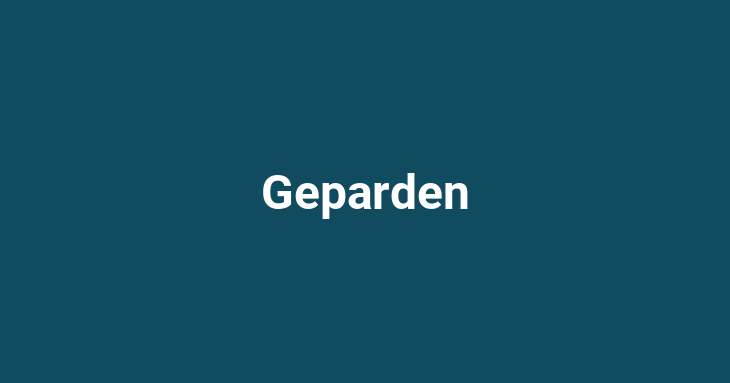 Geparden