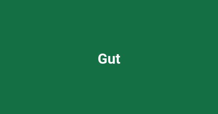 Gut