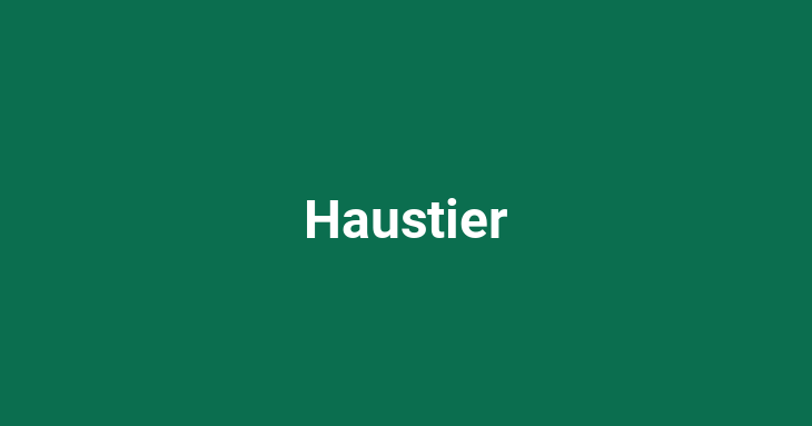 Haustier (Pets)