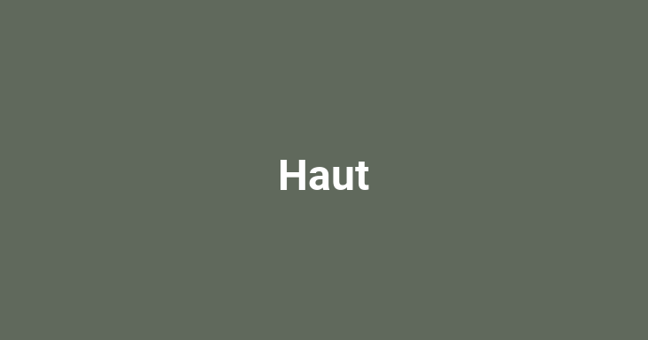 Haut [noun]