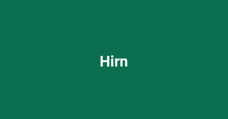 Hirn (Brain)