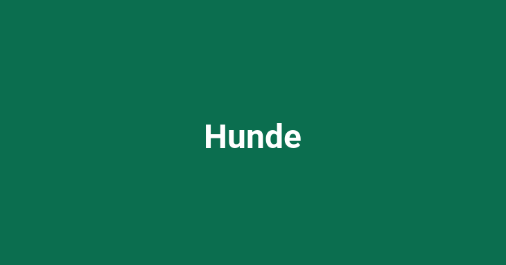 Hunde