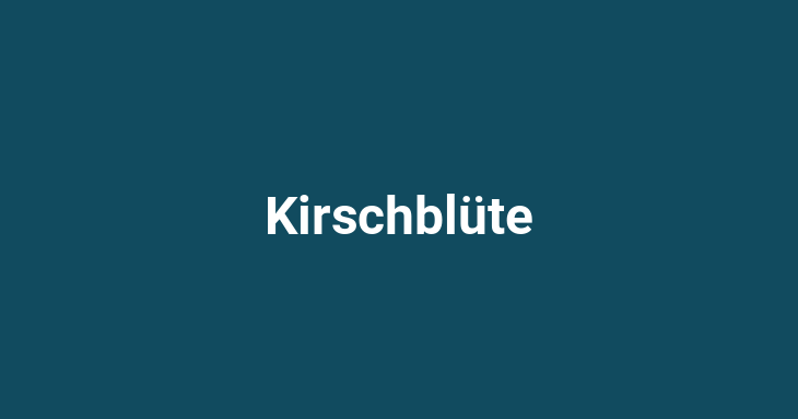 Kirschblüte