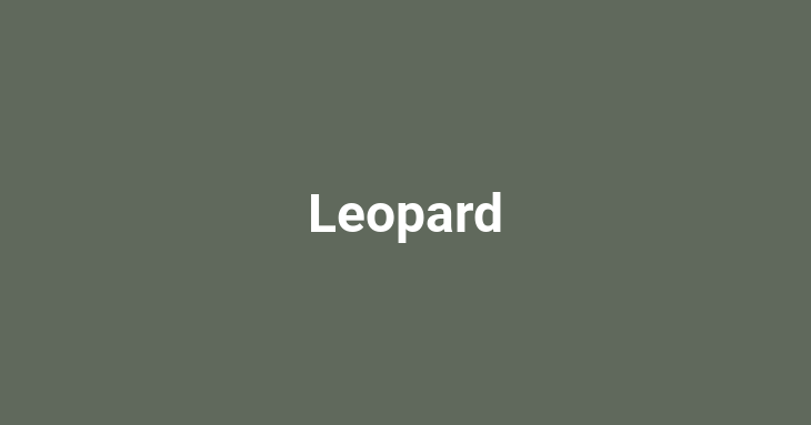 Leopard