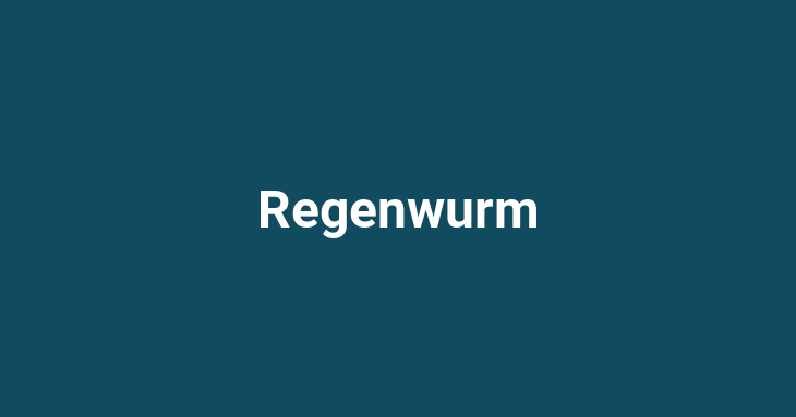 Regenwurm