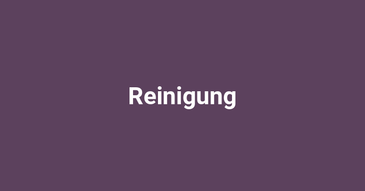 Reinigung [German Word]