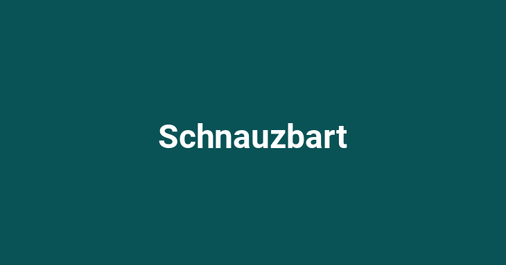 Schnauzbart