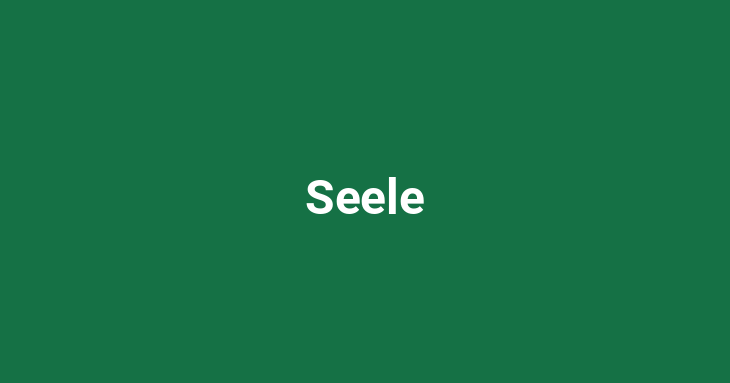 Seele