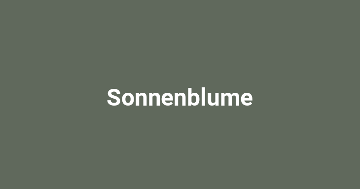 Sonnenblume