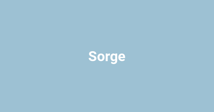 Sorge (Worry)