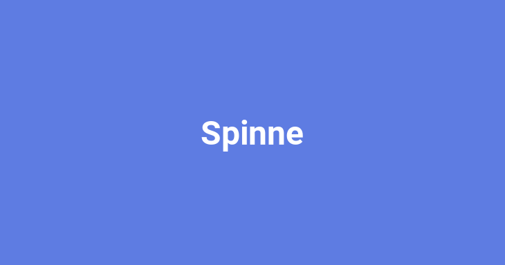 Spinne