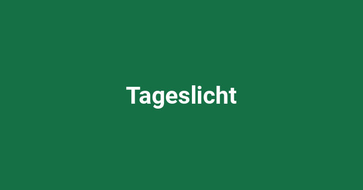 Tageslicht [noun]