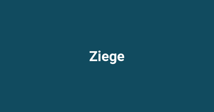 Ziege [noun]